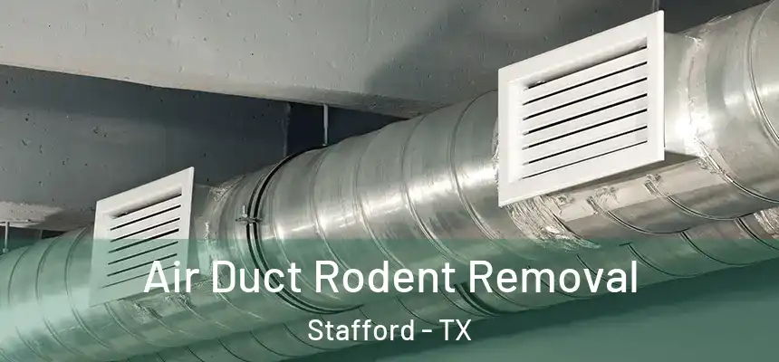  Air Duct Rodent Removal Stafford - TX