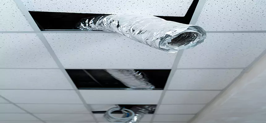 Affordable HVAC Sanitizing After Pest Removal in Stafford