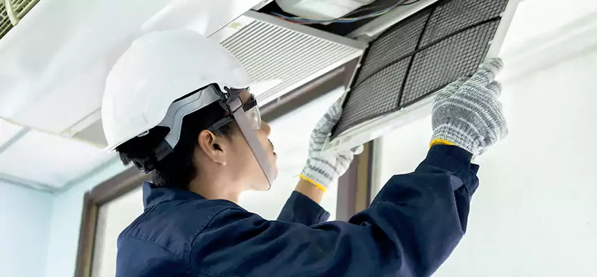 Our Mold & Mildew Removal from Air Ducts Services in Stafford, TX