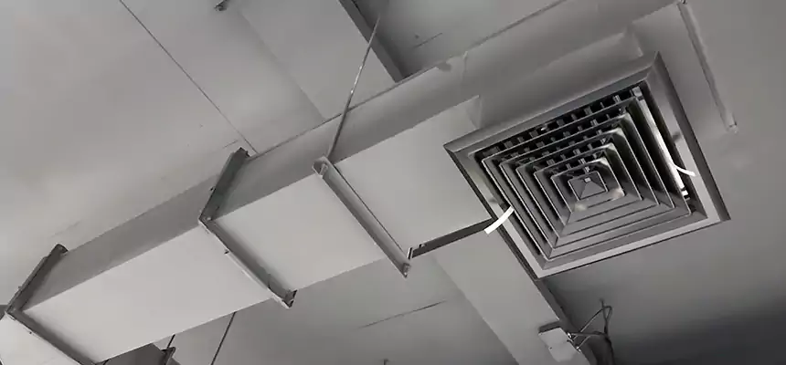 Our Rodent Droppings In Vents Services in Stafford, TX