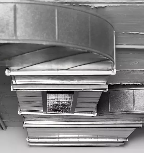 Professional Air Duct Pest Removal in Stafford, TX