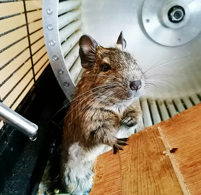 Why Homeowners & Businesses Trust Us Stafford, TX?