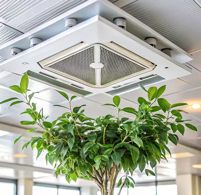 Why Homeowners & Businesses Trust Us in Stafford, TX